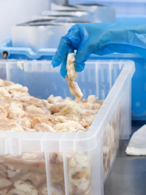 グローバルメニューのイメージ写真