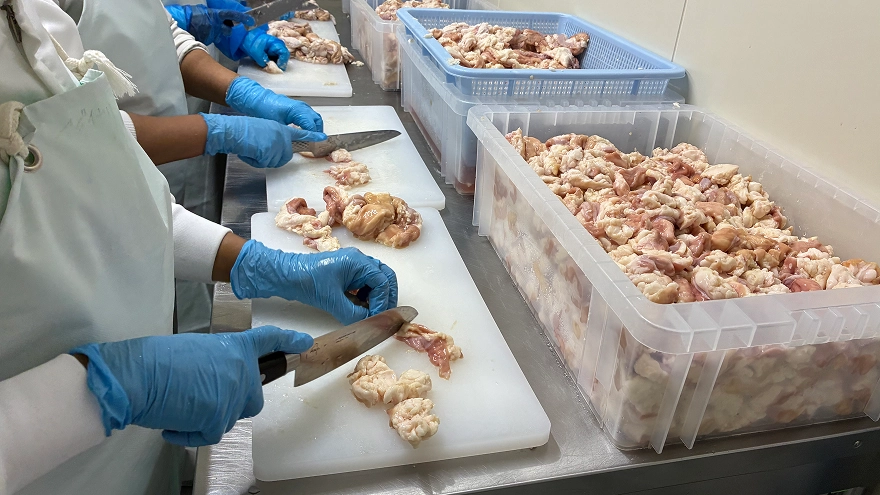 品質検査のイメージ